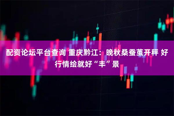 配资论坛平台查询 重庆黔江：晚秋桑蚕茧开秤 好行情绘就好“丰”景